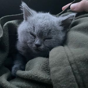 Meet your Posher, Maryam